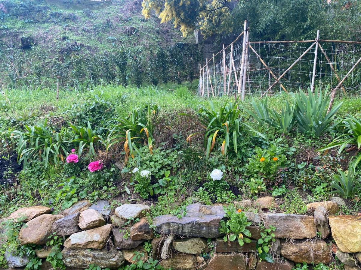 Dolce Vita In Tuscany B&B Capannori Exterior photo